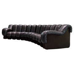 De Sede Sofa DS 600 Snake Ueli Berger & Riva 1972 Brown Leather 12 Elements