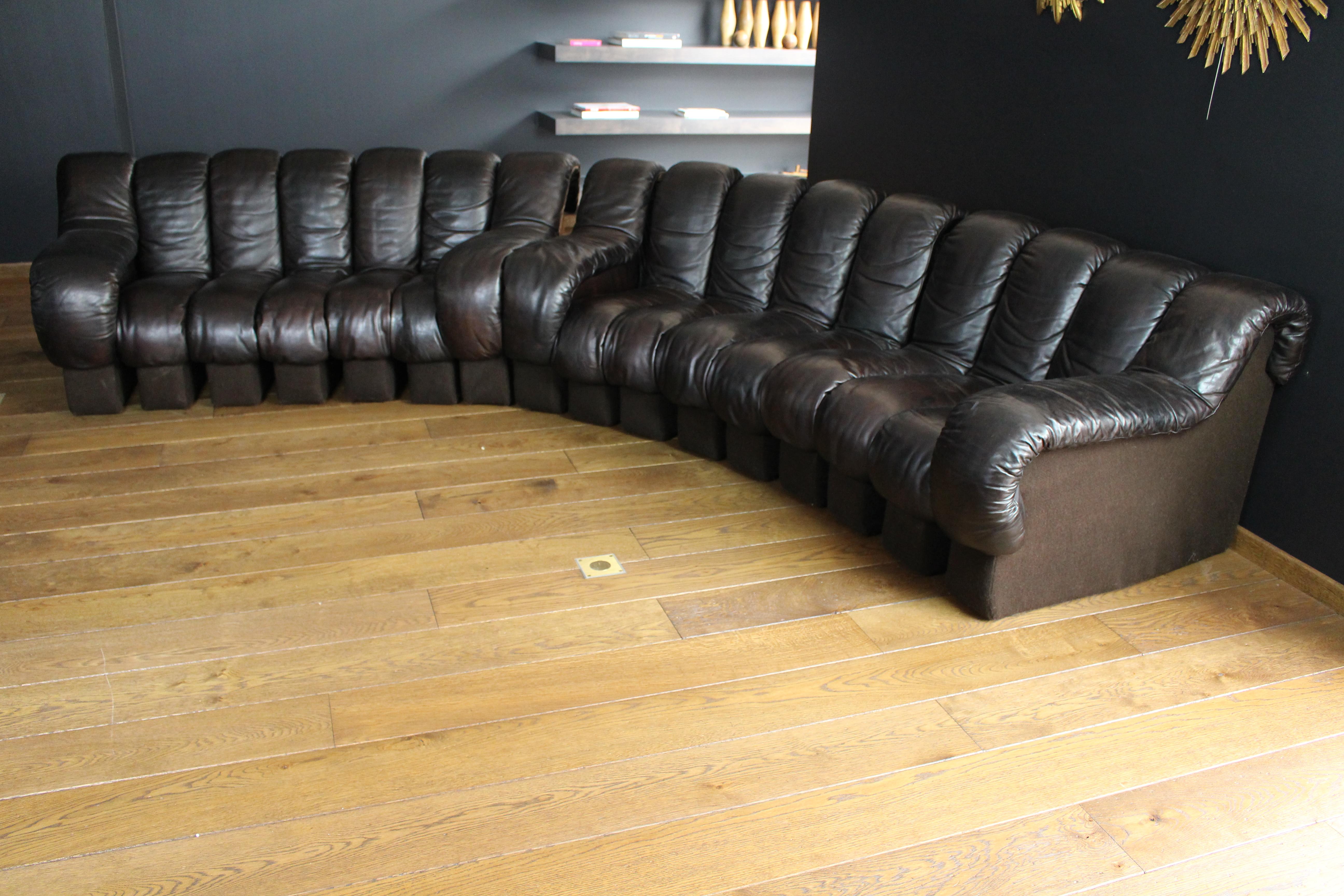 Modular De Sede Sofa Model 'Snake DS 600', dark brown leather, 1970s In Good Condition For Sale In Herzele, BE