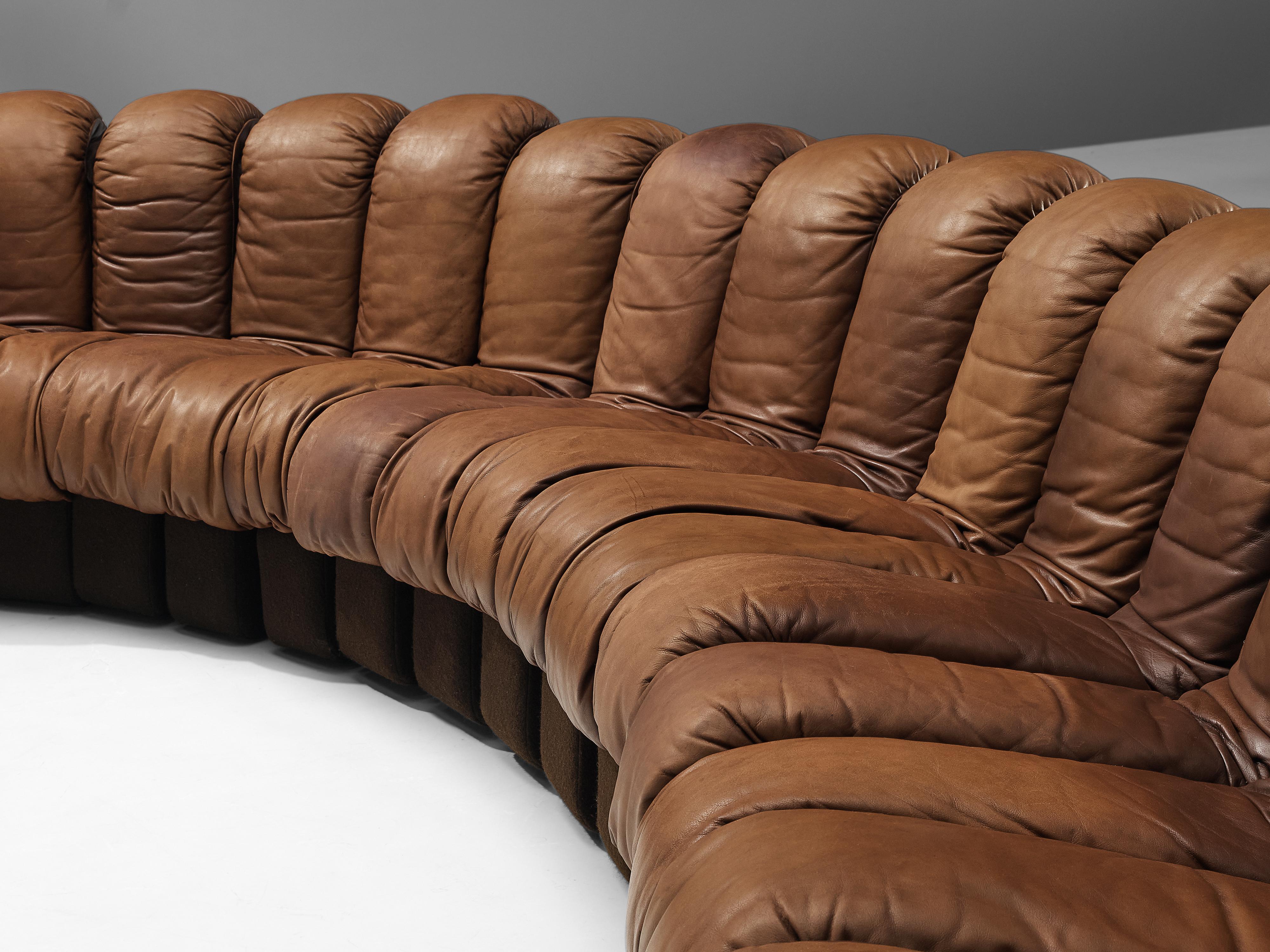 De Sede Sofa Model 'Snake DS-600' in Brown Leather In Good Condition In Waalwijk, NL