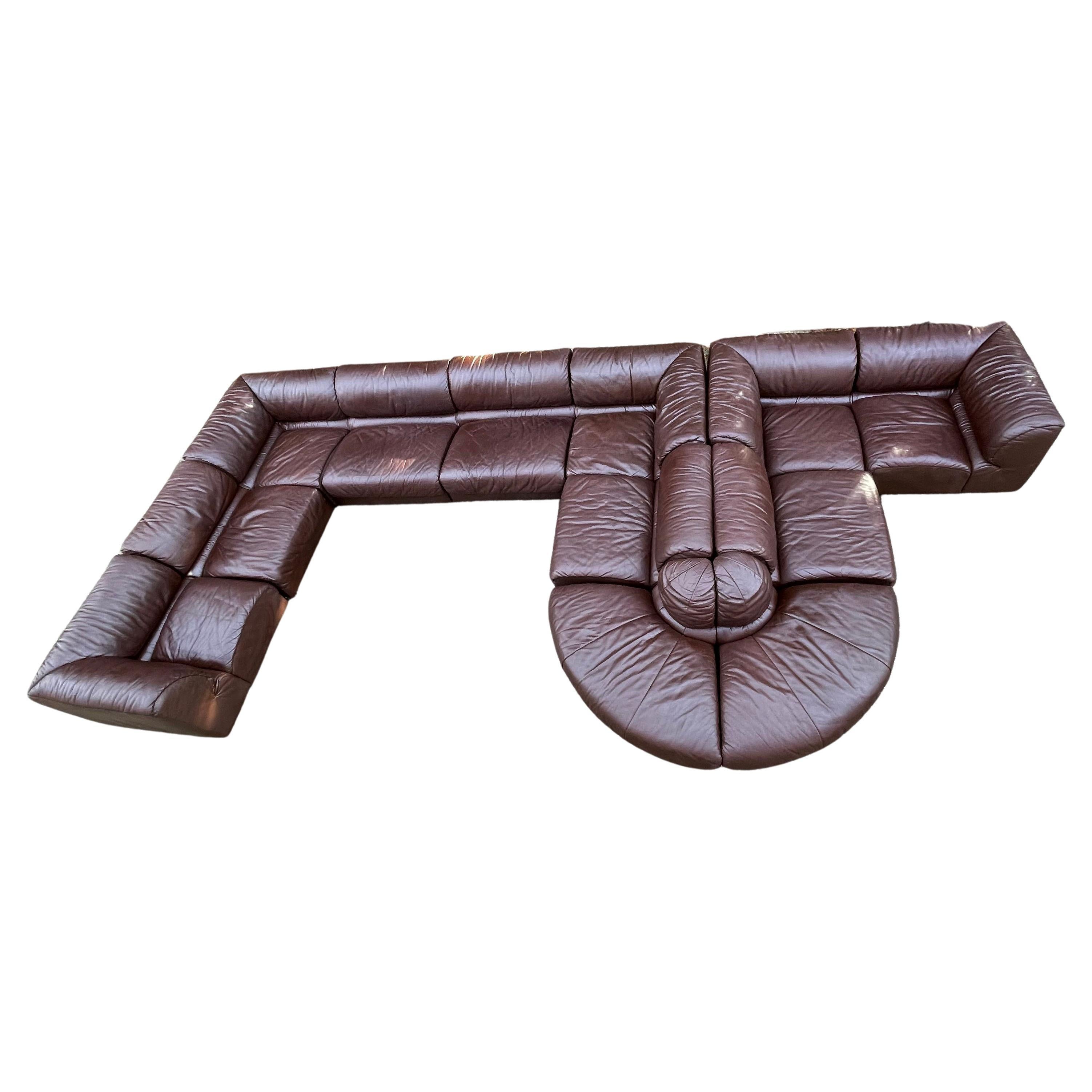 De Sede Style 1970s Sectional Brown Leather Sofa by Laauser, 12 Modular Sections
