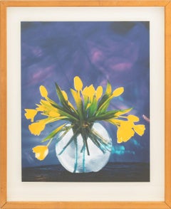 Contemporary Cibachrome Prints, 2