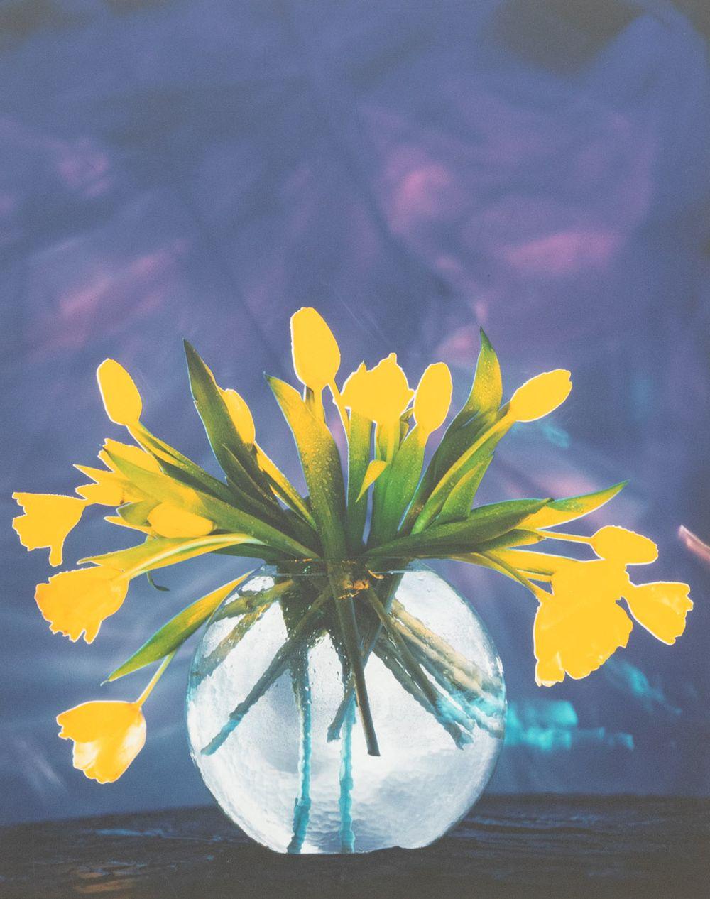 Dean Chamberlain (American, b. 1954), Two Cibachrome Prints in Colors, comprising: Women in a Red Room and Yellow Tulips, unsigned, both float mounted in wood frames. Larger image: 19.25