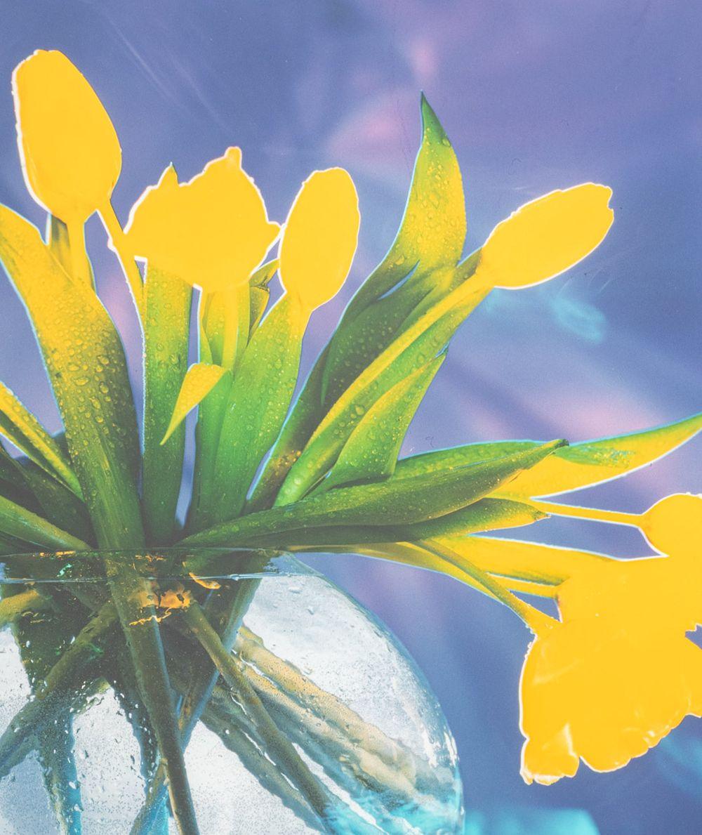 Contemporary Cibachrome Prints, 2 For Sale 1