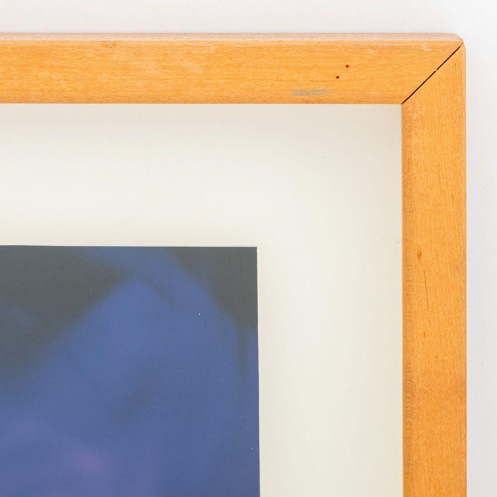 Contemporary Cibachrome Prints, 2 For Sale 2