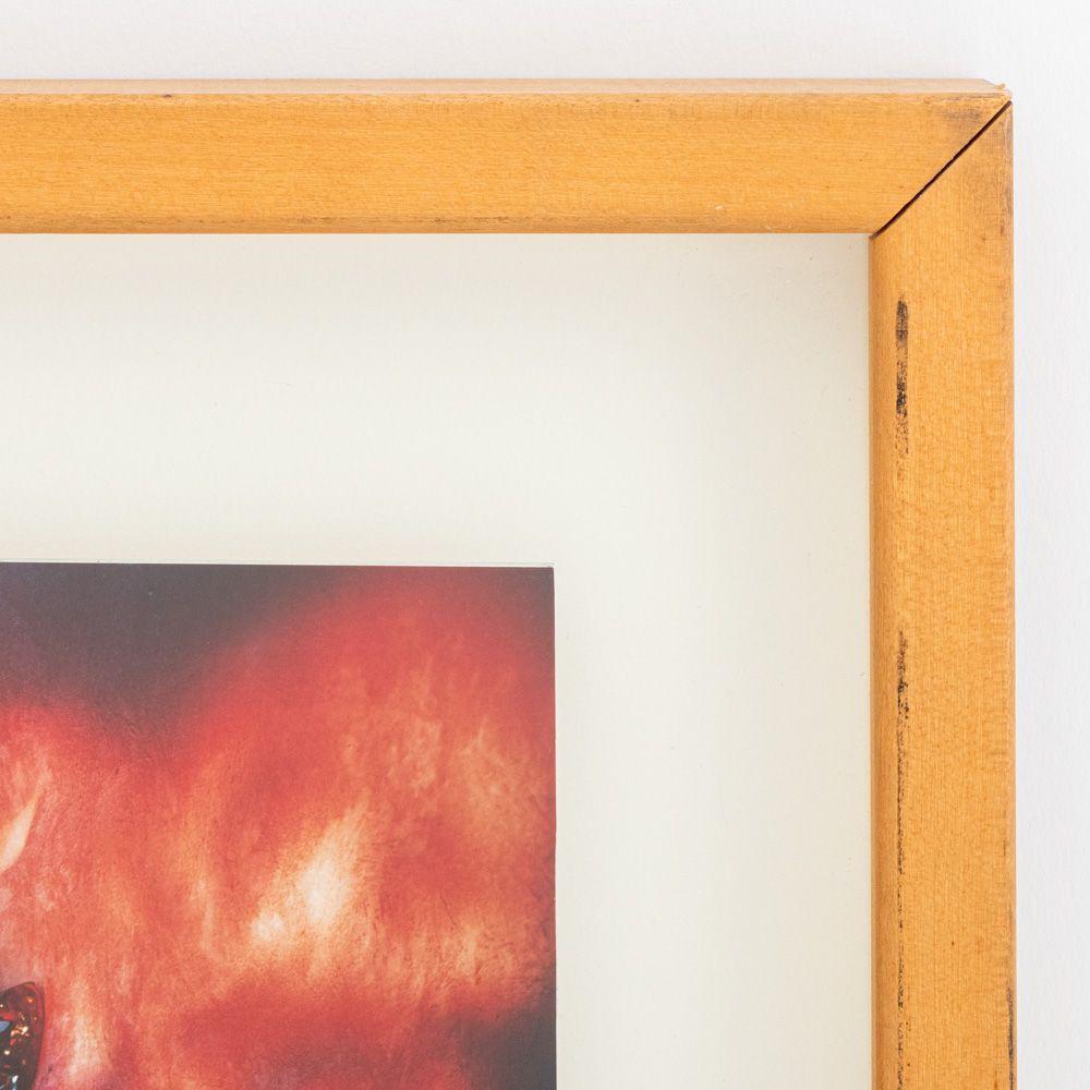 Contemporary Cibachrome Prints, 2 For Sale 6