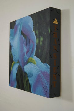 Iris Transient, Contemporary Floral Still Life, Cleveland Artist