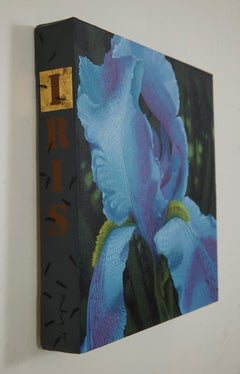 Iris Transient, Contemporary Floral Still Life, Cleveland Artist