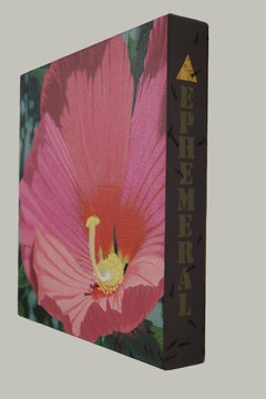 Rose Mallow Ephemeral, Zeitgenössisches Blumenstillleben