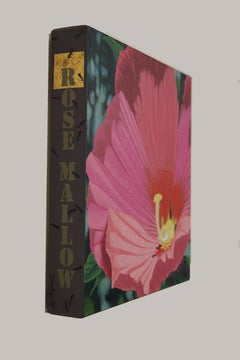 Rose Mallow Ephemeral, Zeitgenössisches Blumenstillleben