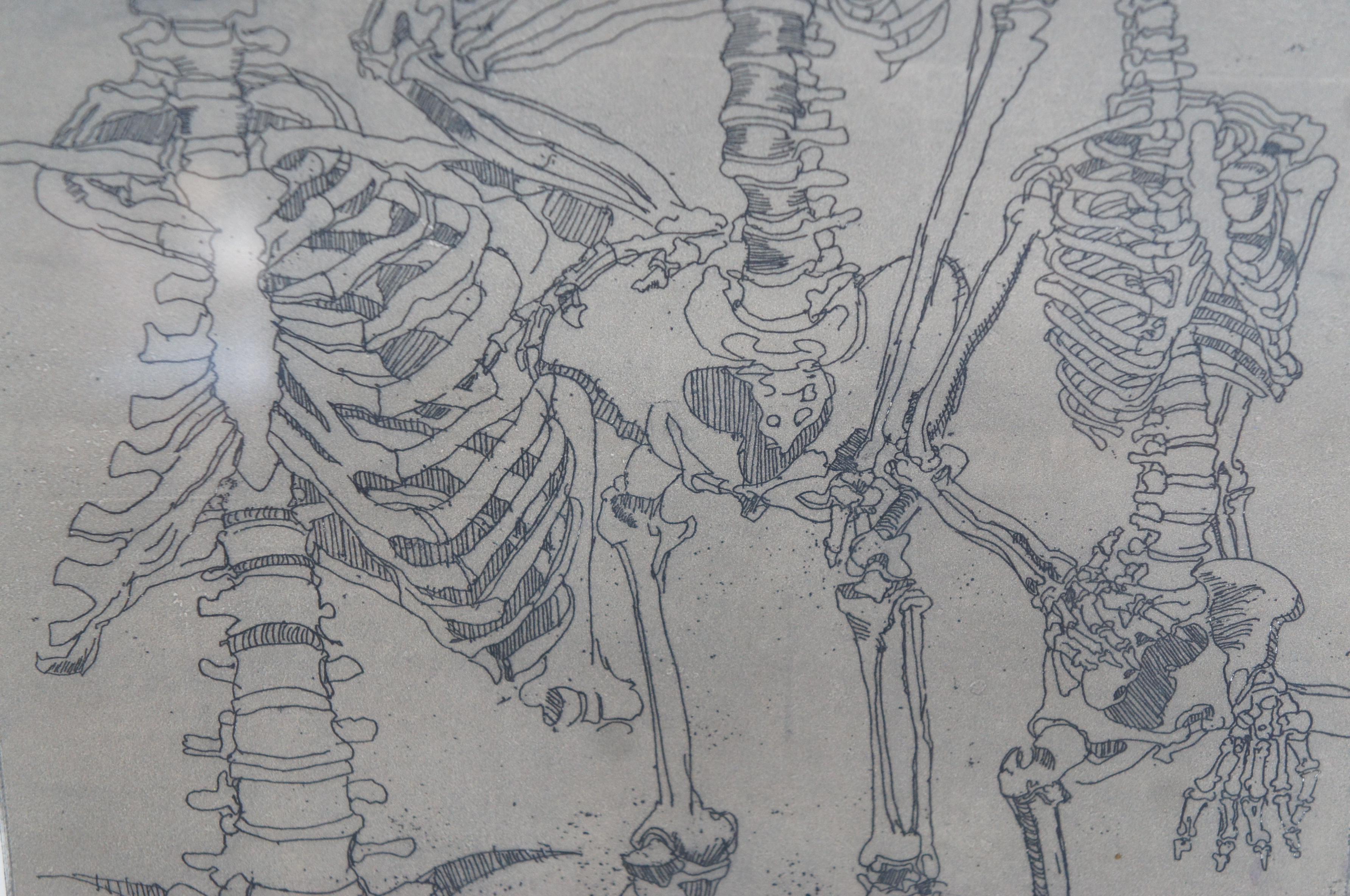 Paper Dean Pingrey Brown Bones Human Anatomy Skeleton Etching