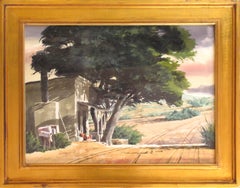 Rural Scene