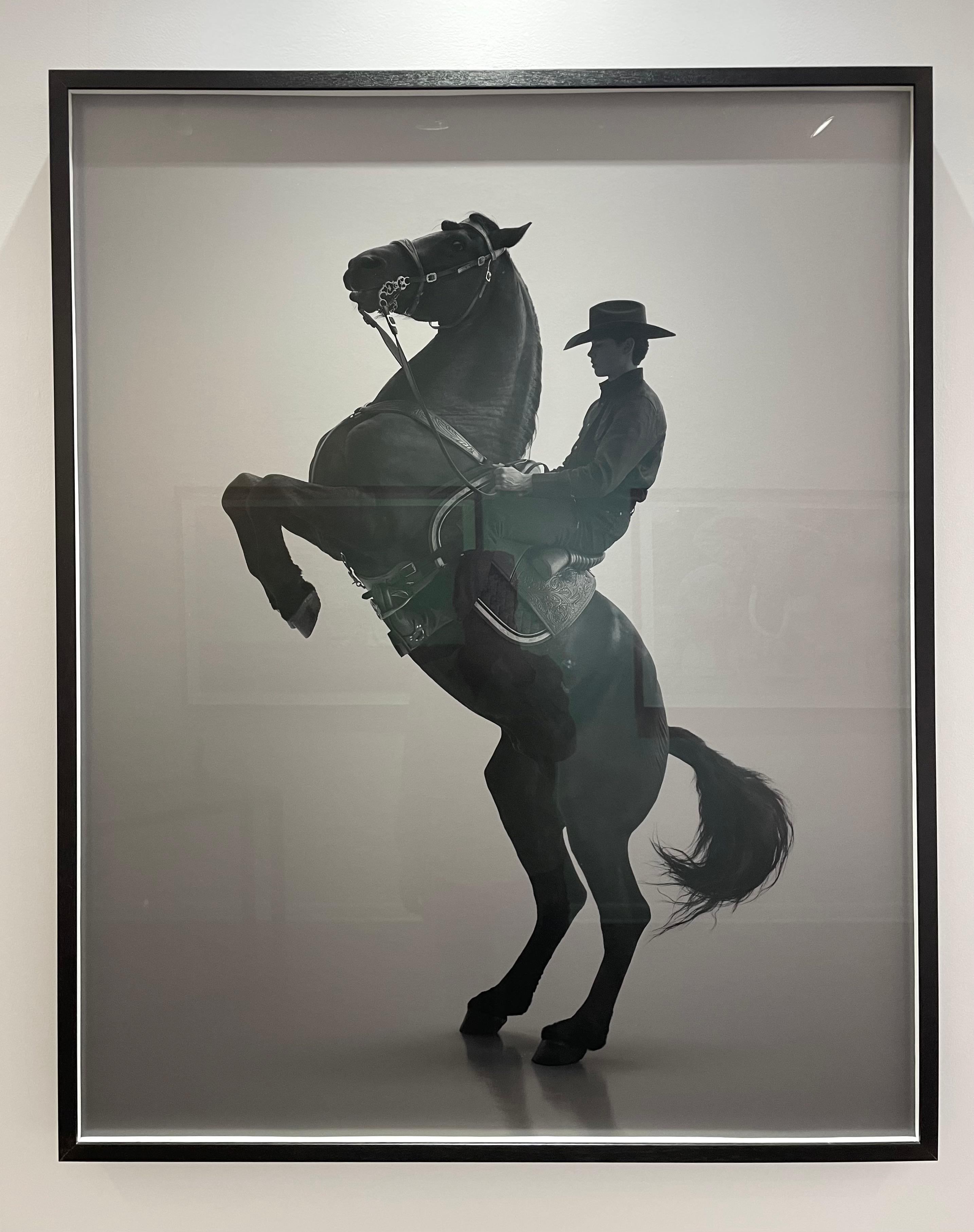 Cade Silhouette # 2, Die Palmen, Cade – Photograph von Dean West