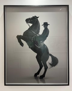 Cade Silhouette # 2, The Palms