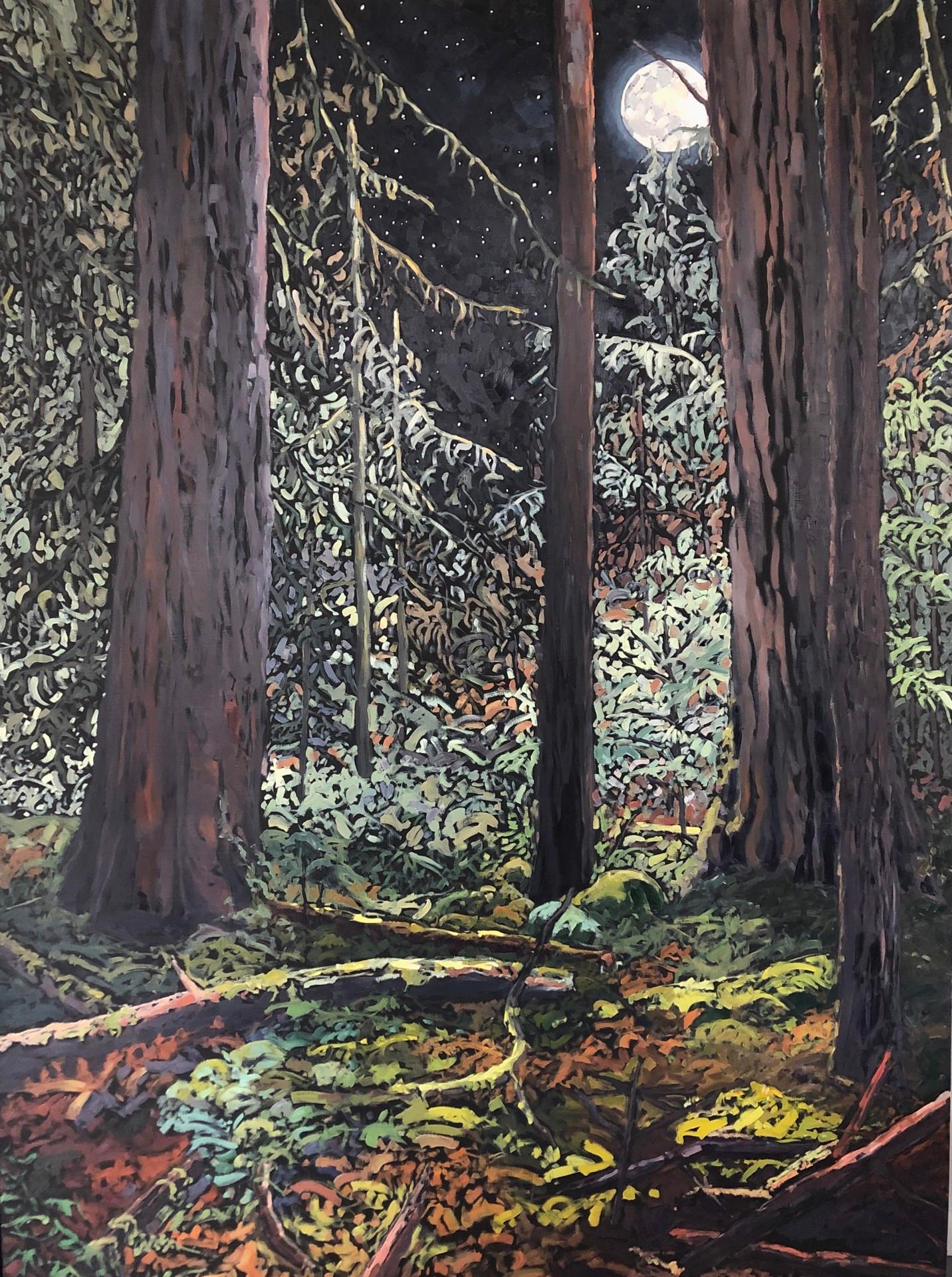 Deb Komitor Landscape Painting - The Forest Never Sleeps