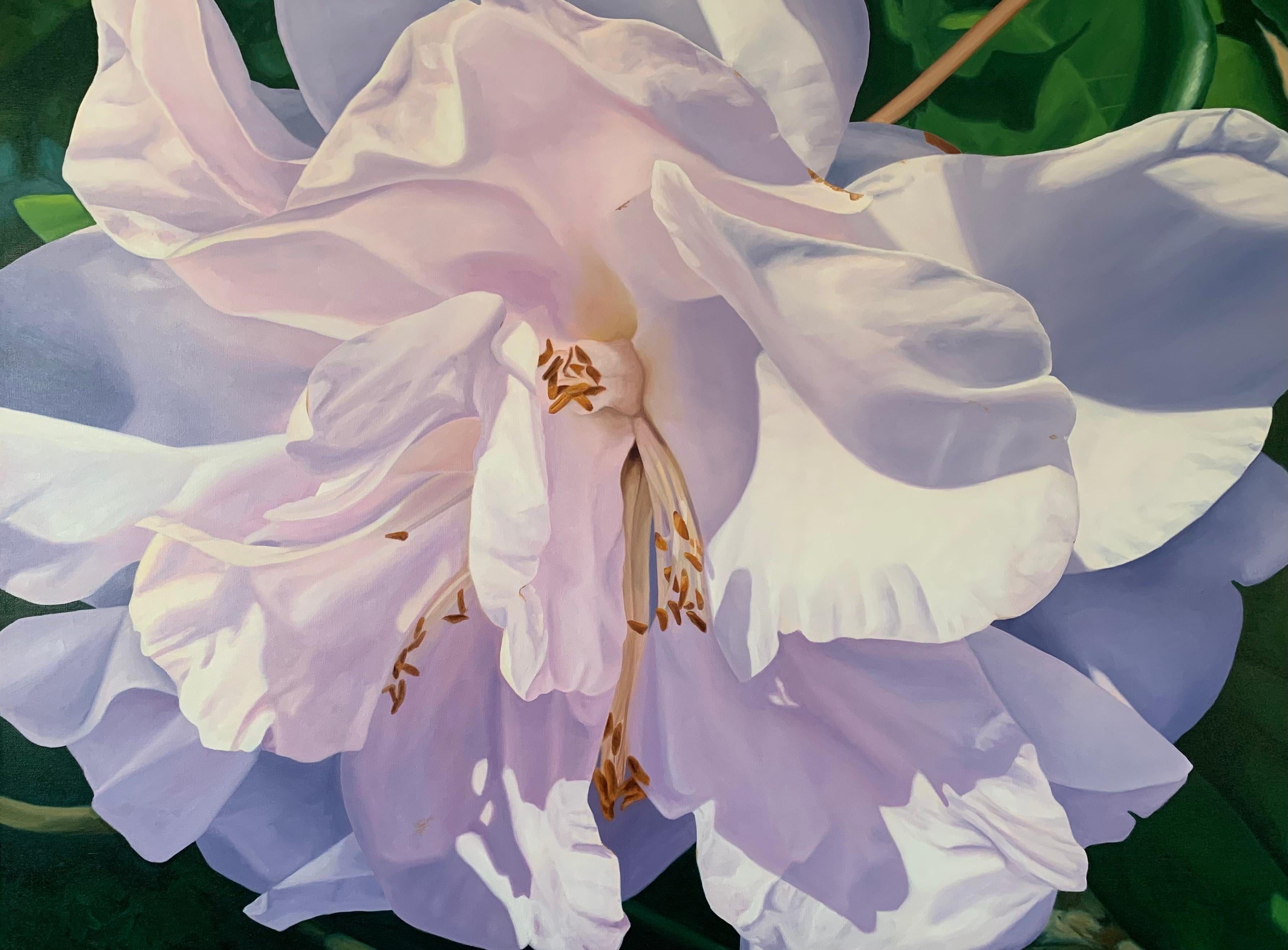 Camellia, Oil Painting - Art by Debbie Daniels