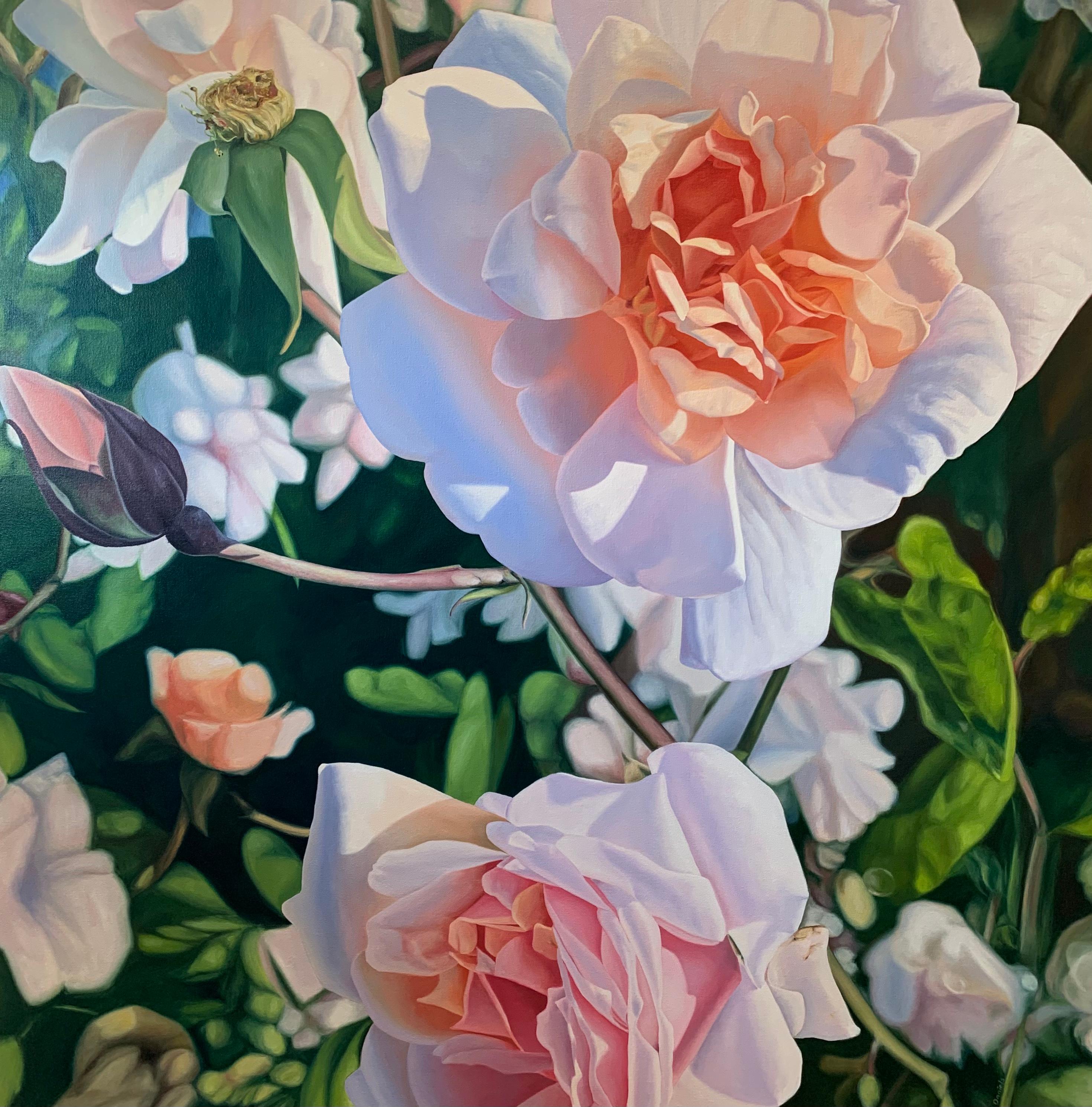 Debbie Daniels Landscape Painting - Peach Floribunda, Oil Painting