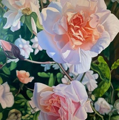 Peach Floribunda, Oil Painting