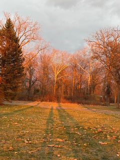 "Ombre umane tra gli alberi nell'ora d'oro", Fotorealismo, foto a colori, 2025