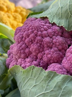 Purple Cauliflower Color Photography Print, 8 x 10, Kitchen Decor