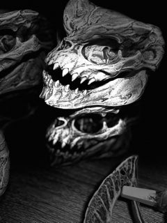 Skeleton Reflections: Abstract Photography on Paper, 2010-