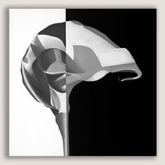 Deborah Bigeleisen - Duality 1, Painting 2025