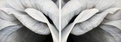 Deborah Bigeleisen - Untitled No. 30, diptych (horizontal view), Painting 2012