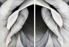 Deborah Bigeleisen - Untitled No. 30, diptych (vertical view), Painting 2012