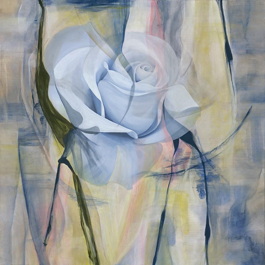 Having started my career by painting Rembrandt-like portraits of luminous white roses, I credit my discovery of fractals for transforming my artistic vision, and changing the direction and force of my work. Always working with a single image of a