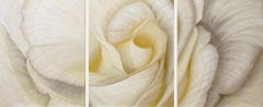 Cotton Canvas Still-life Prints