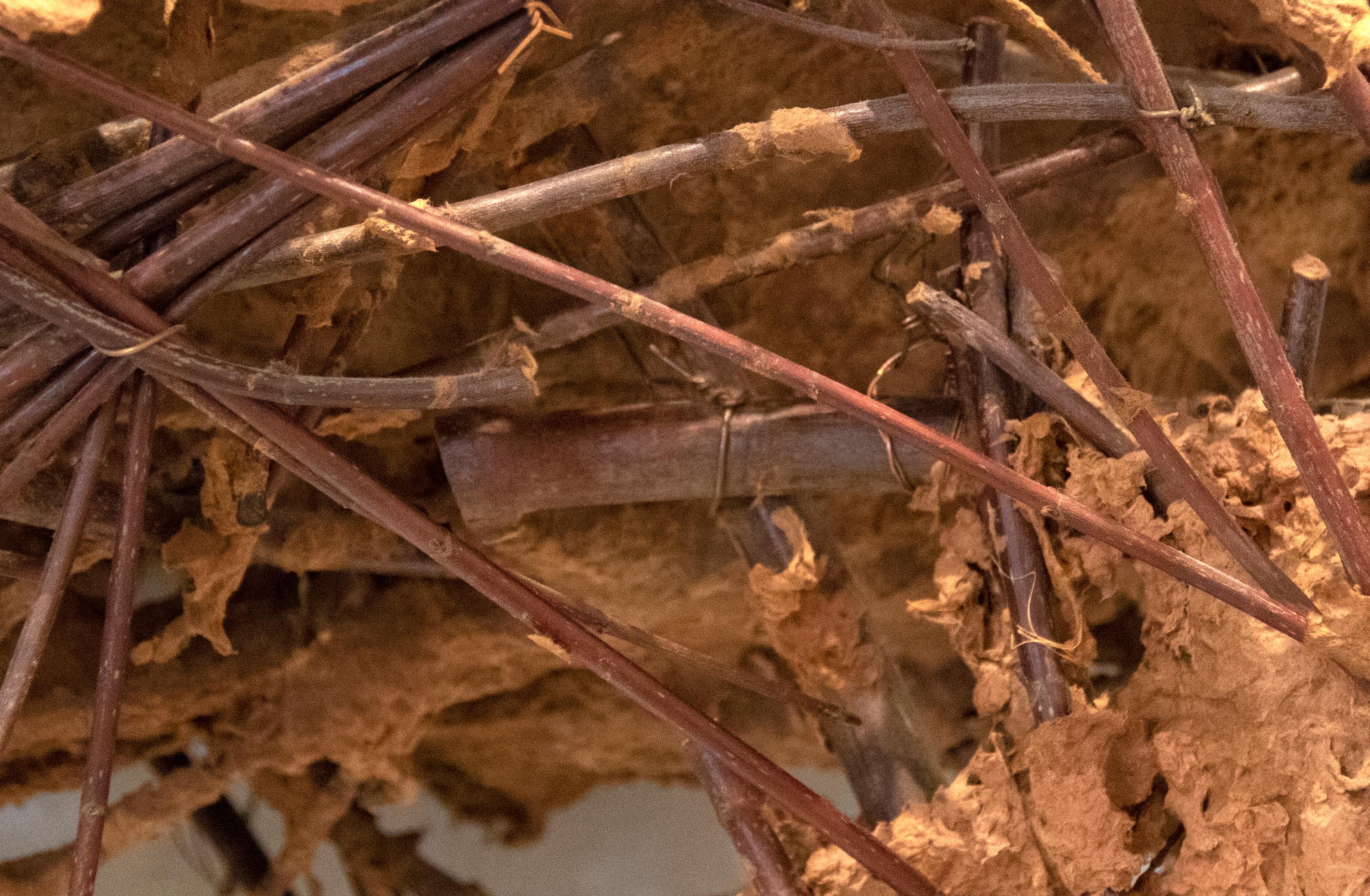 A wall sculpture by Deborah Butterfield. This Untitled (Horse) wall sculpture is constructed from sticks and paper on wire armature by contemporary artist Deborah Butterfield. This Deborah Butterfield Horse sculpture depicts a brown, stick horse,