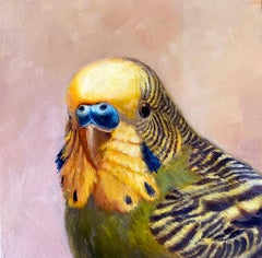 Green Parakeet Portrait