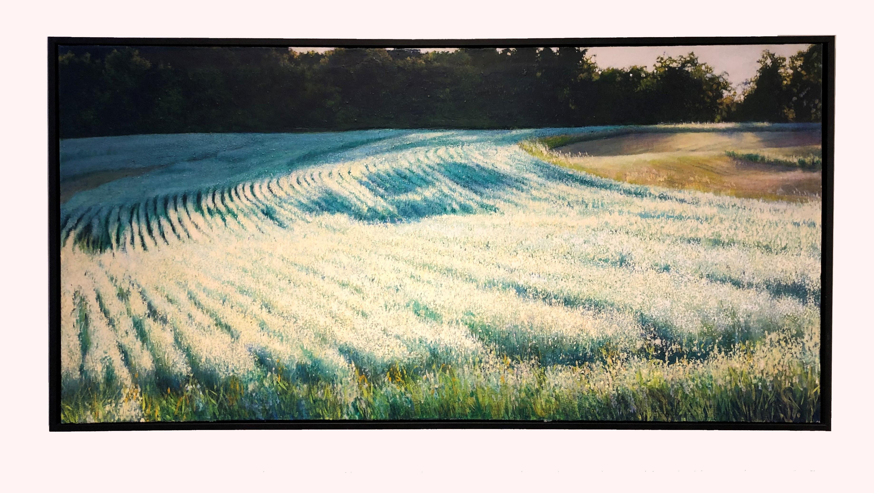Barley Field - In Full Bloom on Rolling Hills, Oil on Canvas - Painting by Deborah Ebbers