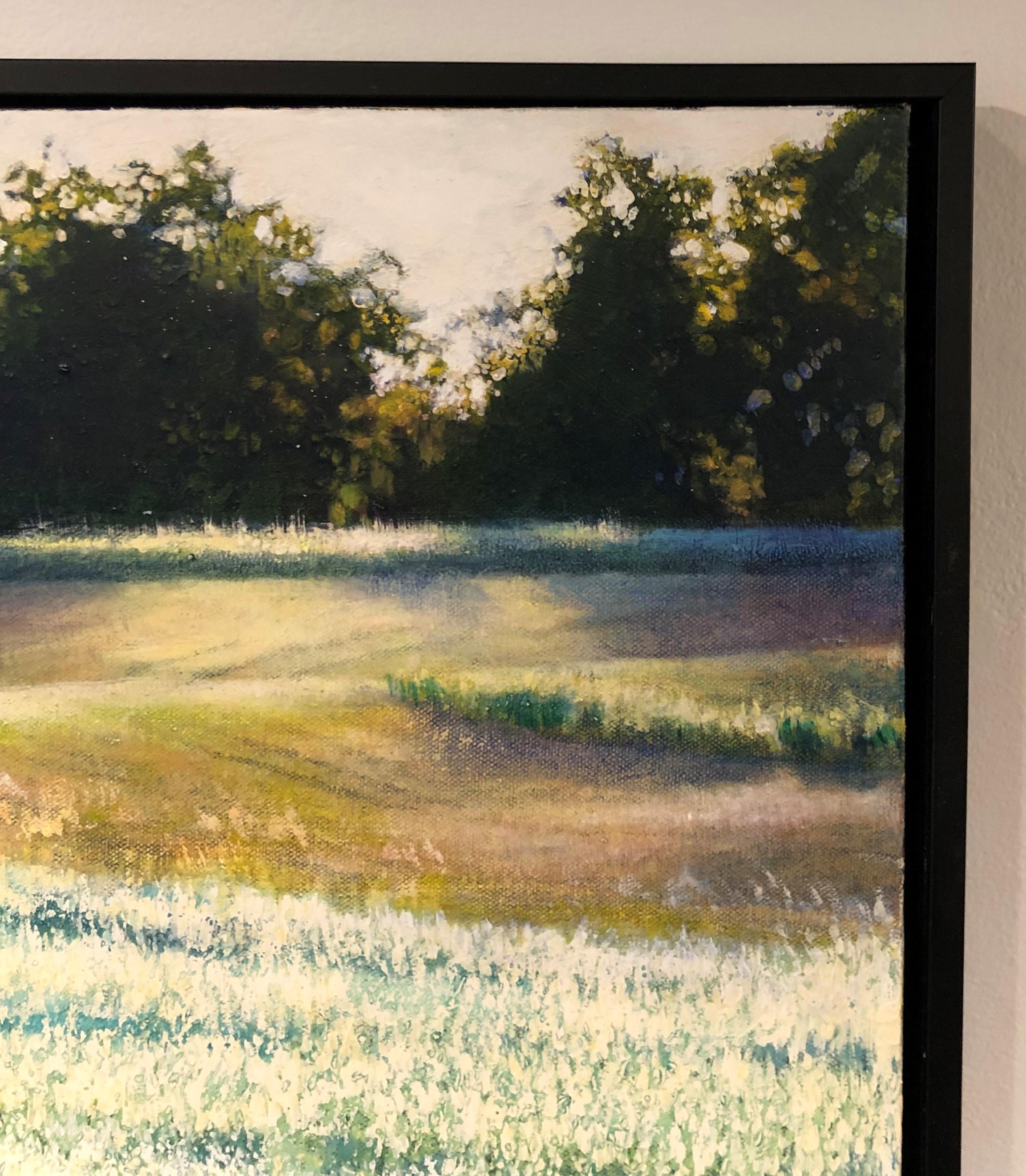 Barley Field - In Full Bloom on Rolling Hills, Oil on Canvas - Contemporary Painting by Deborah Ebbers