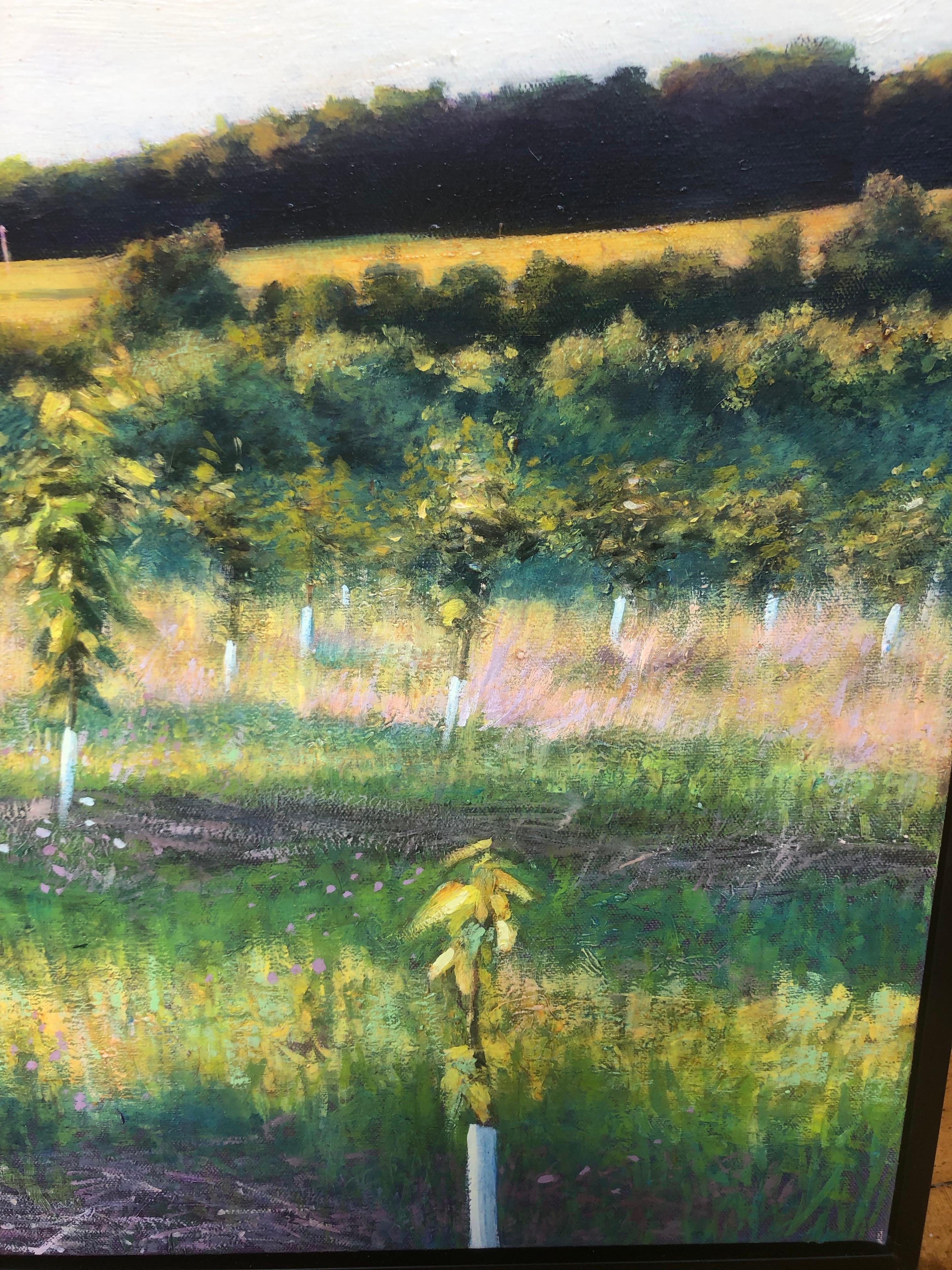 This painting captures a young orchard bathed in bright light.  The abundance of green and yellow color evokes Spring renewal while the remoteness of the scene brings about peaceful contemplation.  Deft handling of paint and loose brushwork are