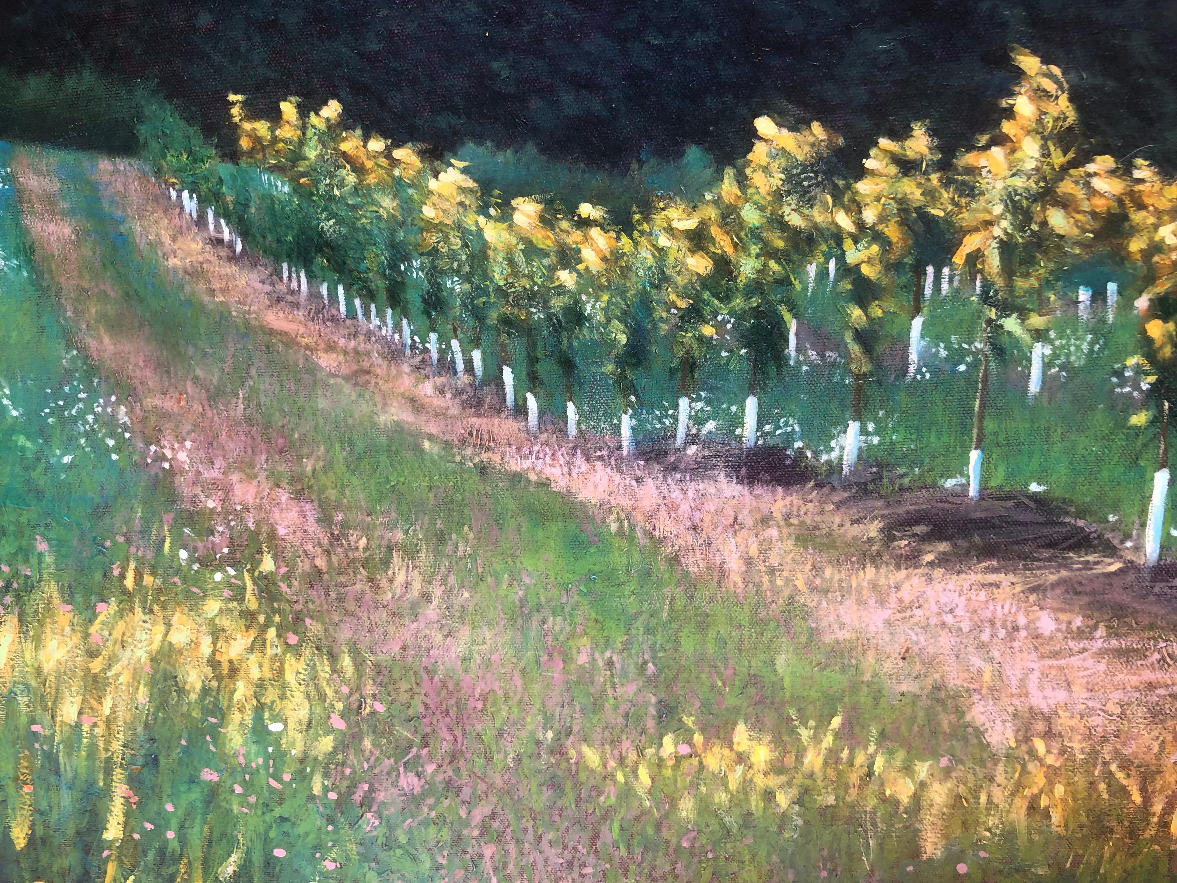Orchard Path - Original Oil Painting of Orchard and Hills Bathed in Spring Light 4