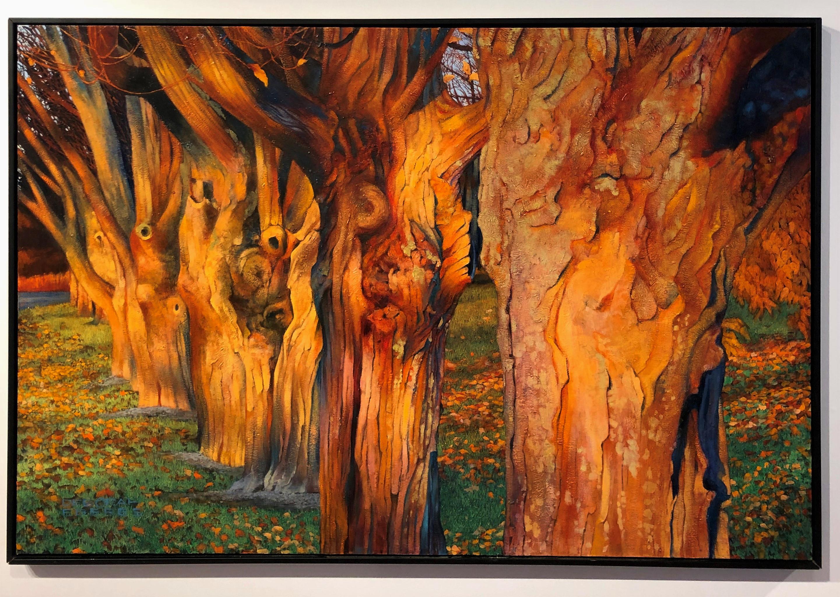 Witness Trees, Sugar Maples Bathed in Afternoon Light, Original Oil On Canvas - Painting by Deborah Ebbers