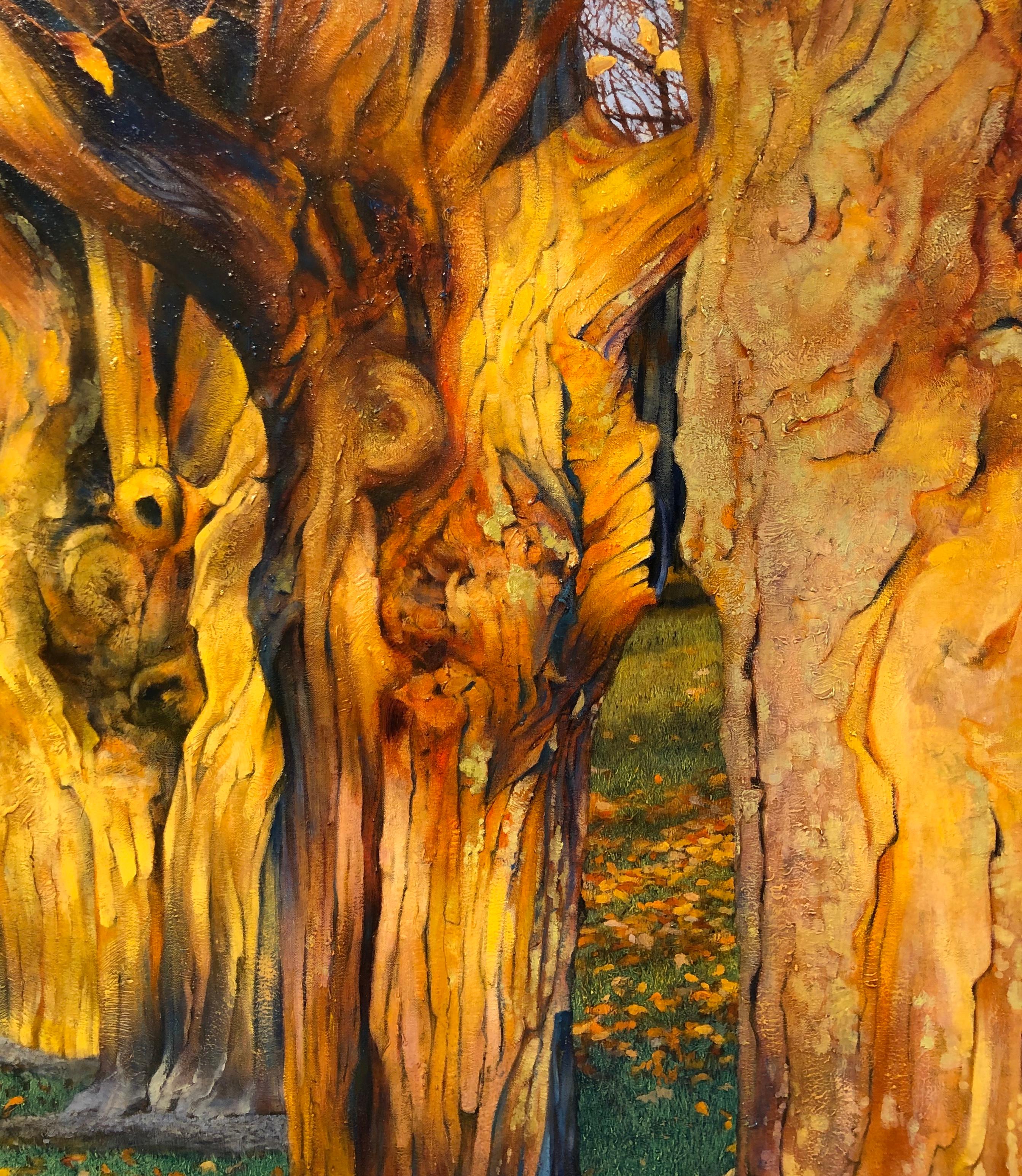 Witness Trees, Sugar Maples Bathed in Afternoon Light, Original Oil On Canvas - Brown Landscape Painting by Deborah Ebbers