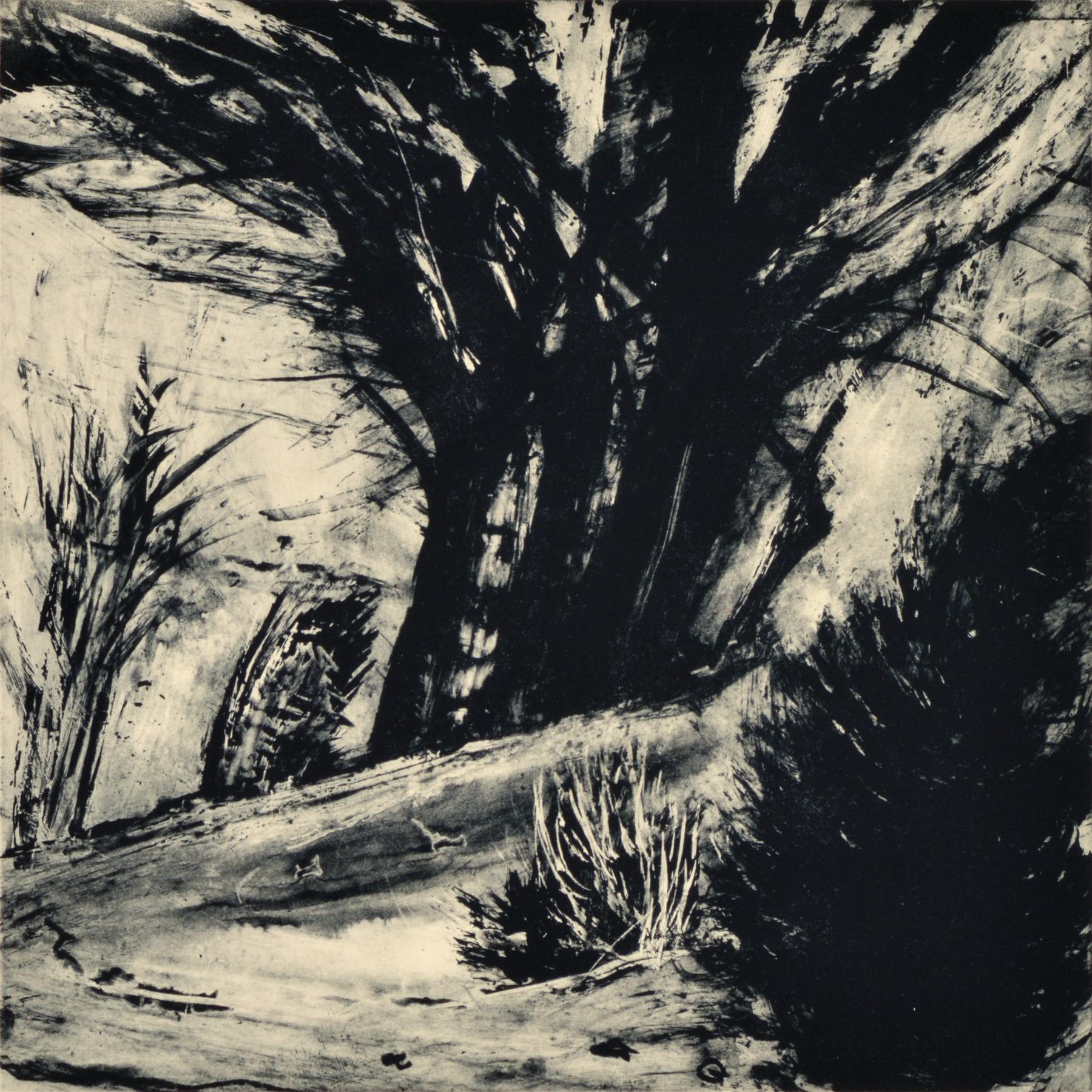 Deborah Freedman Landscape Print – Kalter Frühling II