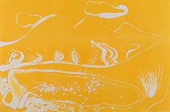 Deborah Freedman, « Watershed #16 », monotype, paysage jaune