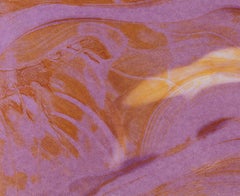 Deborah Freedman, "Watershed #21", monoprint, opera astratta nei toni del rosa e del viola