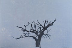 Deborah Freedman, "Watershed #9" monoprint, blue tree
