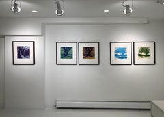 Fiebre de primavera II