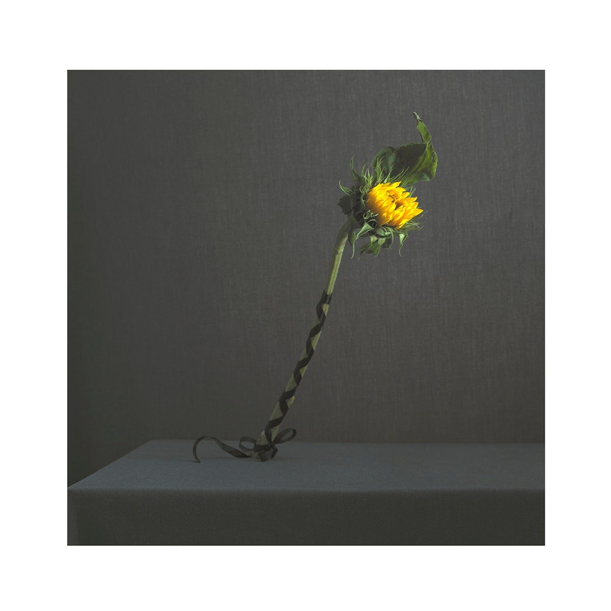 Antique and Vintage Prints 14,109 For Sale at 1stDibs vintage