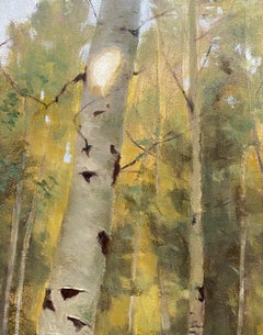 Light in the Clearing (landscape, Aspen trees, luminous)