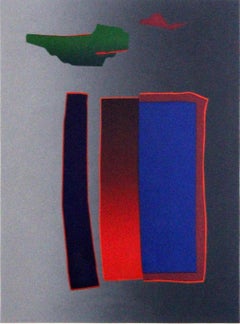 Deborah Remington Narth 1981 Signed Color Lithograph 17/40 Framed