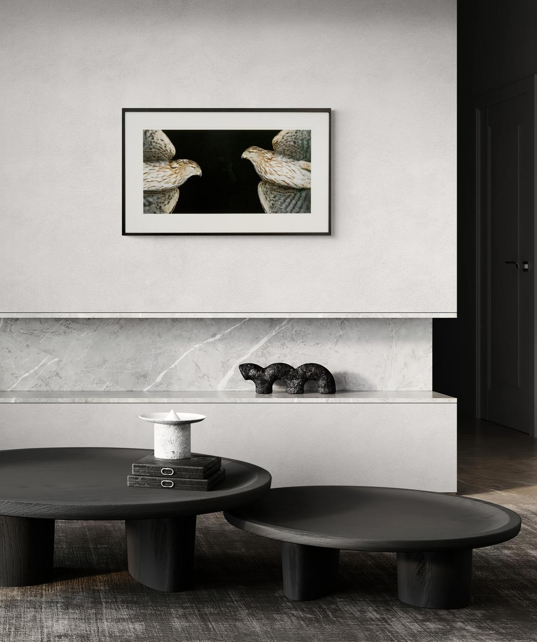 Cooper's Hawk VI & II - sharp, detailed, figurative, bird, pigment photograph im Angebot 2