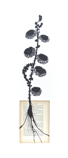Midnight Blooms No. 17, Flowers, Botanical, Collage, Books, Black, White