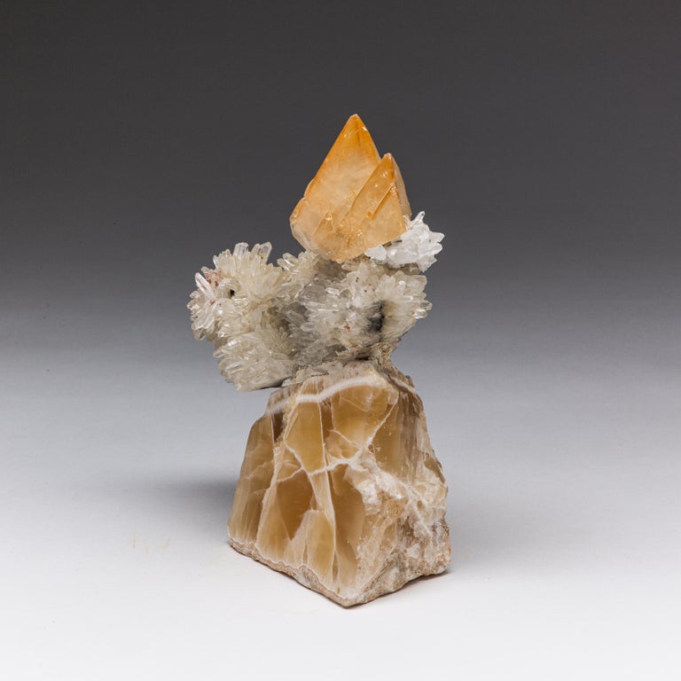 Debra Baxter Splendid For Sale at 1stDibs