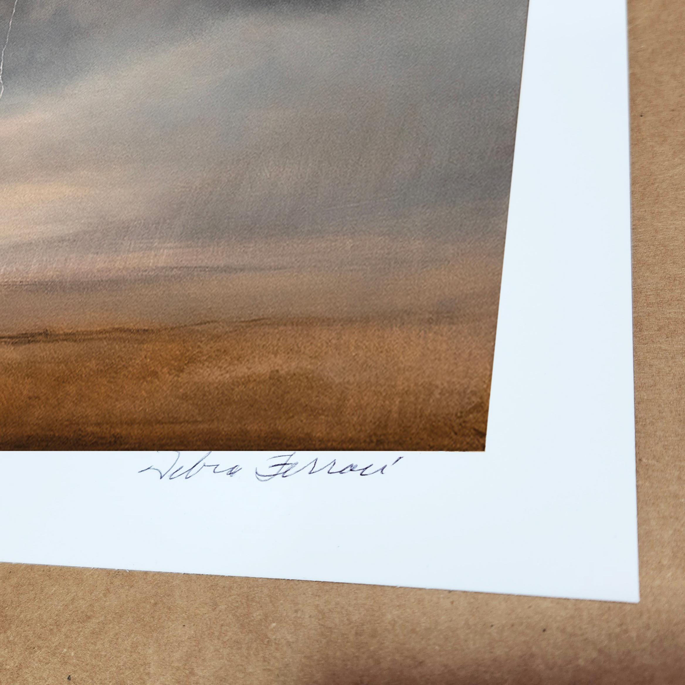 Storm 2  [Archival Ink on Paper, 50x70 in] For Sale 1