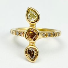 Debra Navarro Colored Diamond and 18 Karat Yellow Gold Three-Stone Band Ring